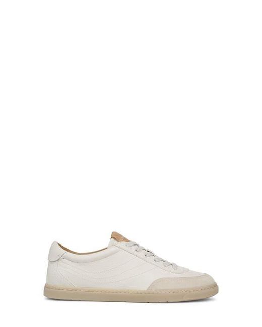 Vince White Palm Trainer