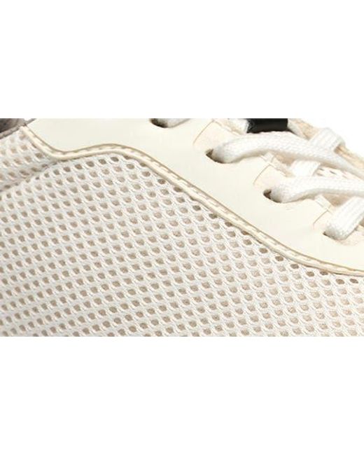Clarks White Mullan Go Sneaker for men