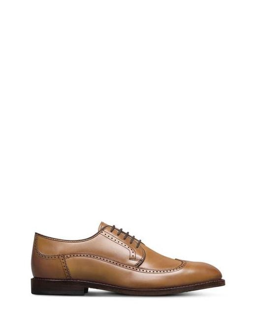 Allen Edmonds Brown Winston Wingtip Derby for men