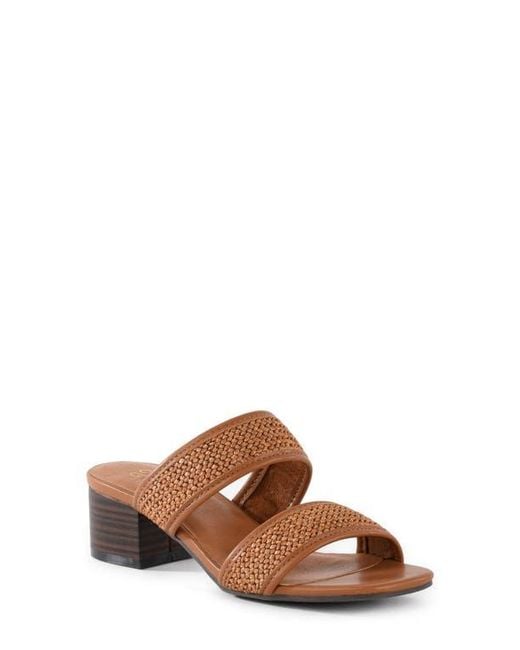 Seychelles Brown Aurora Slide Sandal