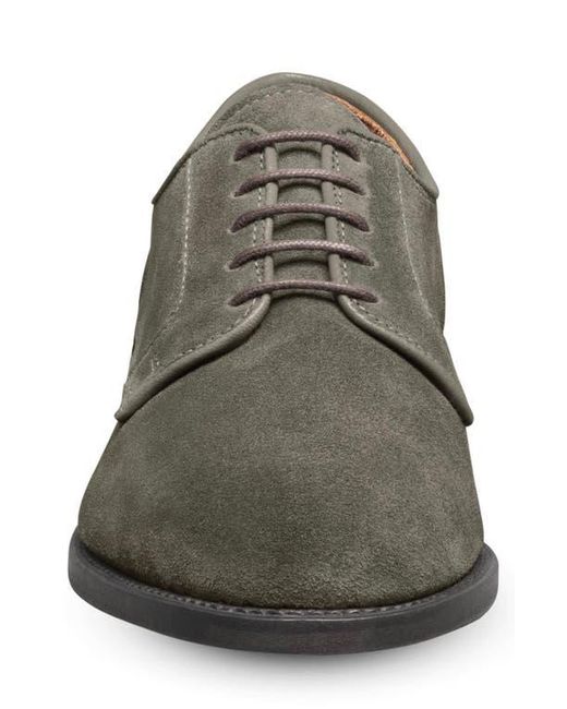 Allen Edmonds Brown Windsor Plain Toe Derby for men