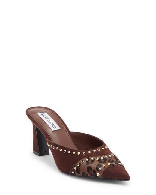 Steve Madden Brown Elizza Pointed Toe Mule