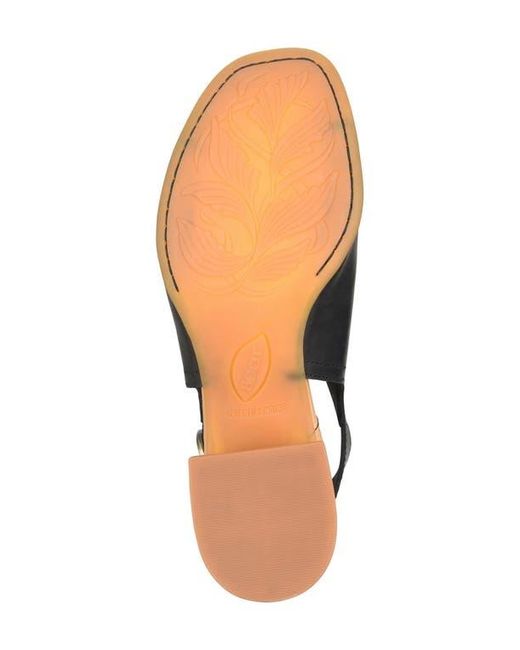 Børn Black Sage Sandal