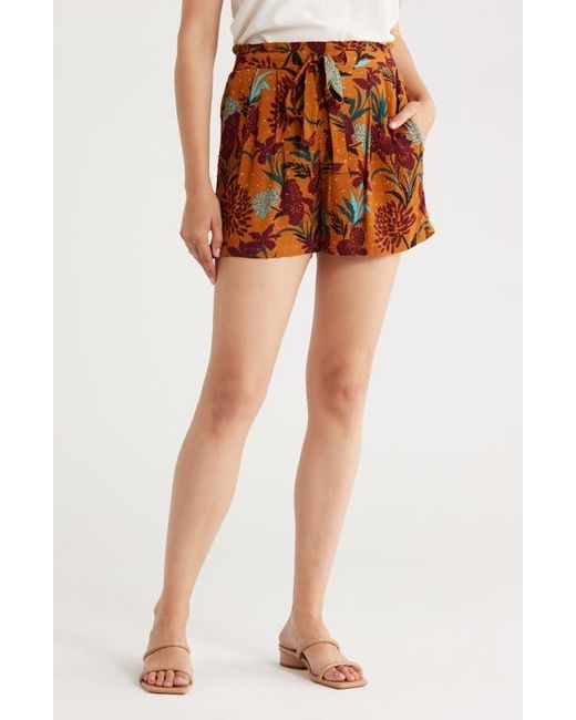 DR2 by Daniel Rainn Brown Paperbag Waist Shorts