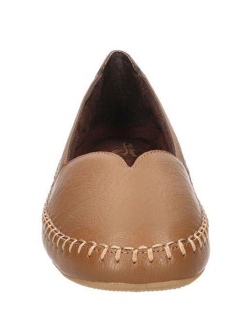 Easy Street Brown Amity Flat