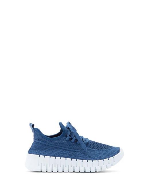 Danskin Blue Lace-Up Knit Sneaker