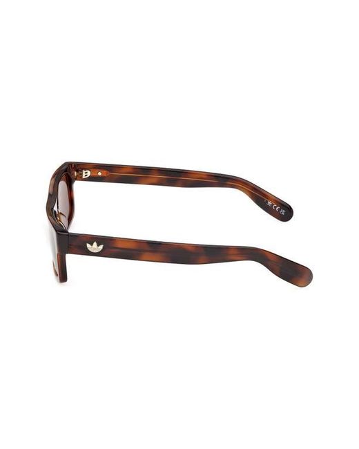 Adidas Brown Rectangular Sunglasses for men