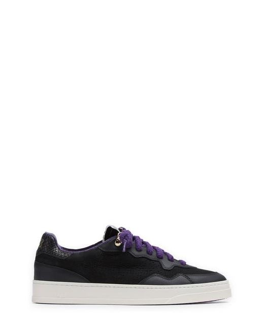P448 Blue Bali Sneaker for men