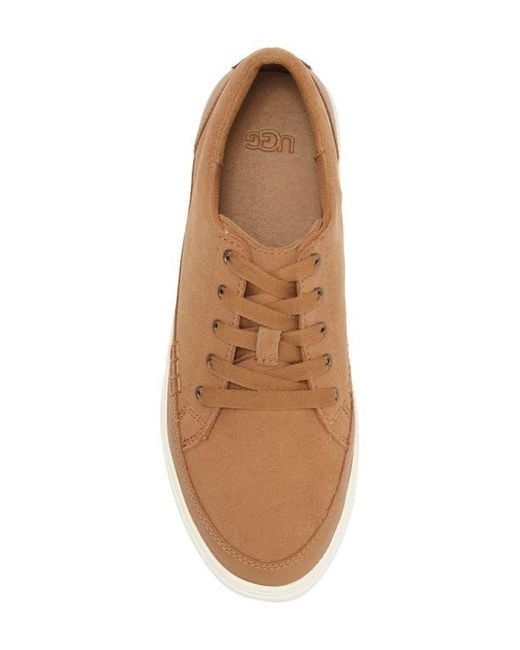 Ugg Brown Zilo Platform Sneaker