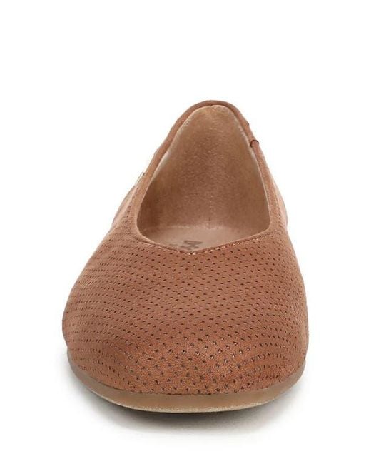 Dr. Scholls Brown Flat