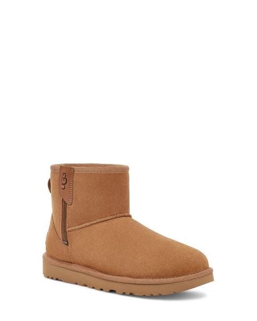 Ugg Brown Classic Mini Bailey Zip Boot