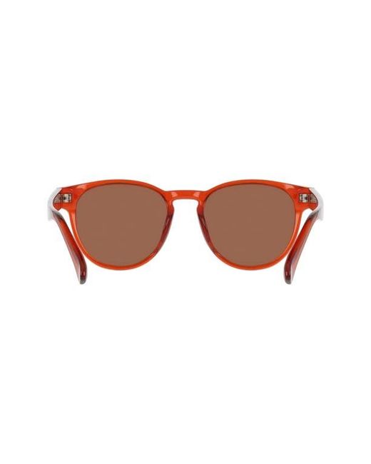Dragon Brown 53Mm Round Sunglasses