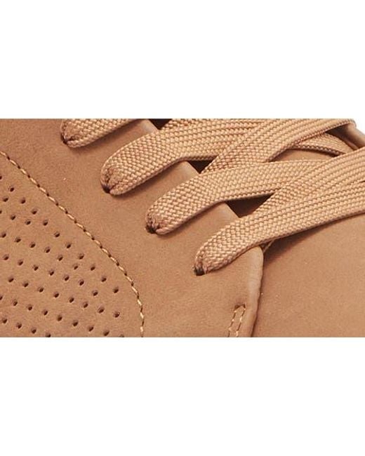 Steve Madden Brown Pyper Sneaker for men