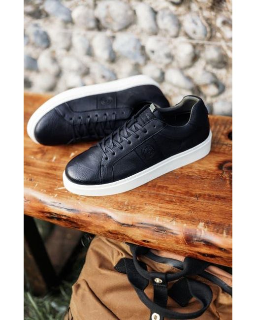 Barbour Black Ponting Sneaker for men