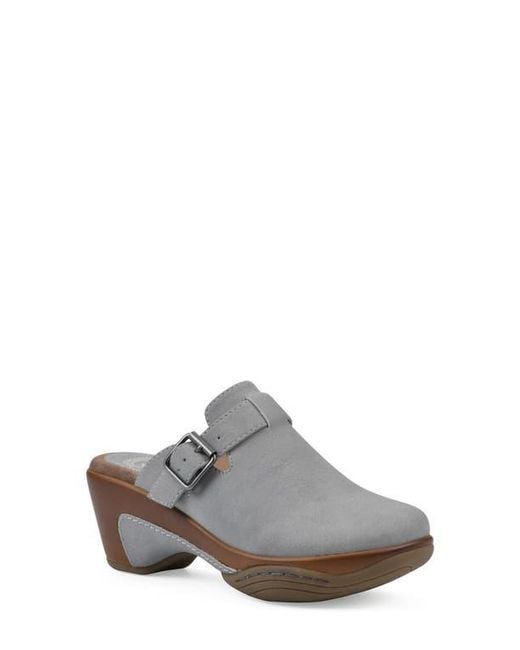 White Mountain Gray Viewed Mule