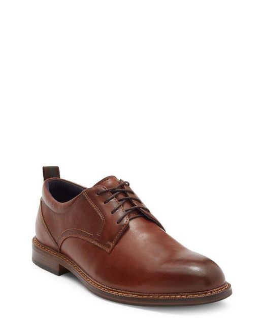 Steve Madden Brown Pierce Plain Toe Derby for men