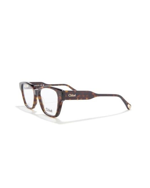 Chloé Brown 51Mm Cat Eye Optical Frames