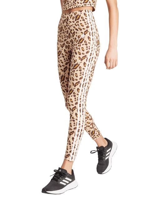 Adidas Multicolor 3-stripes Leopard Print High Waist Leggings