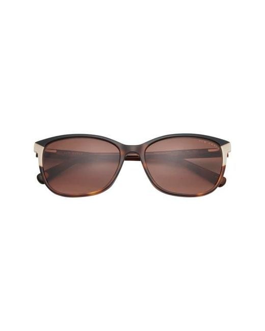 Ted Baker Brown 56Mm Rectangular Sunglasses
