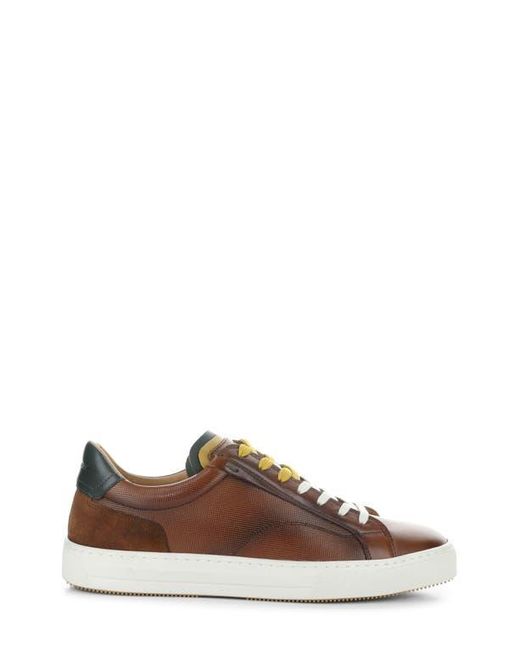 Ambitious Brown 11218 Low Top Sneaker for men