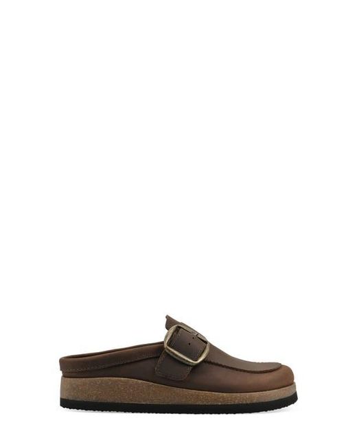 White Mountain Brown Bueno Mule