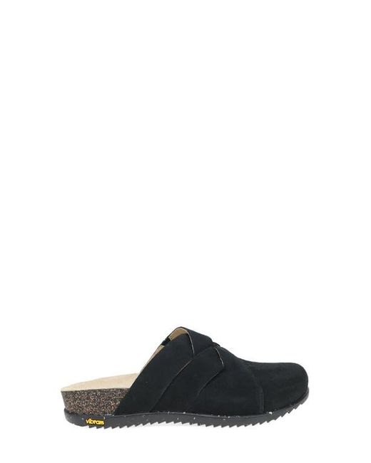 Dansko Black Daniella Mule