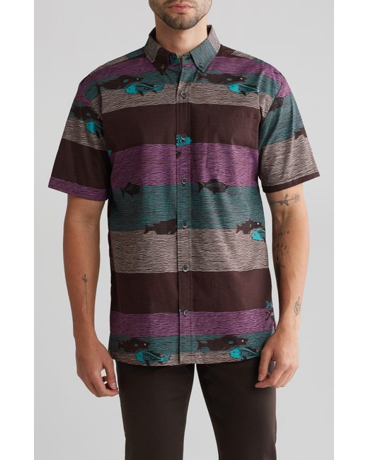 Kahala Gray Flowy By Short Sleeve Cotton Button-up Shirt for men