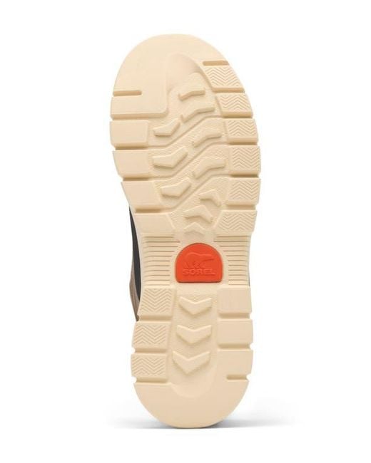 Sorel Gray Outing Nw Low Sneaker for men