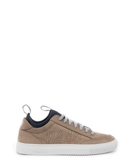 P448 Multicolor Soho Sneaker for men