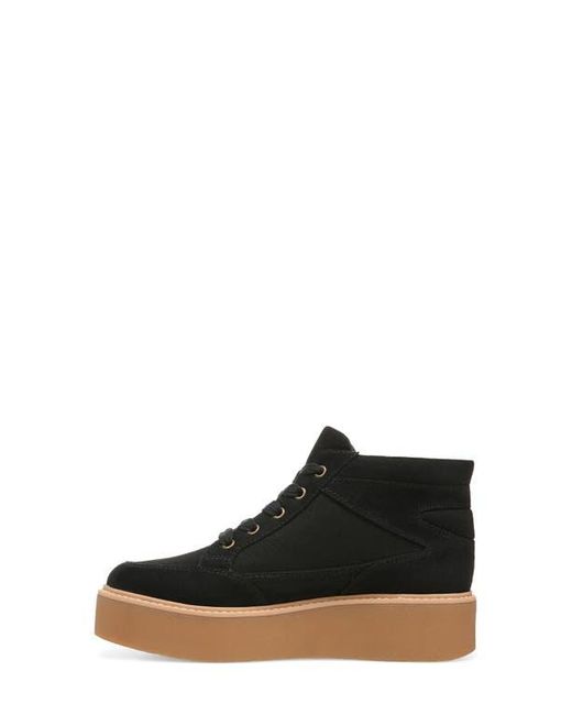 Zodiac Black Siona High Top Platform Sneaker