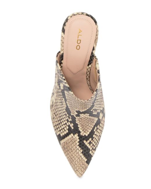 aldo snakeskin mules