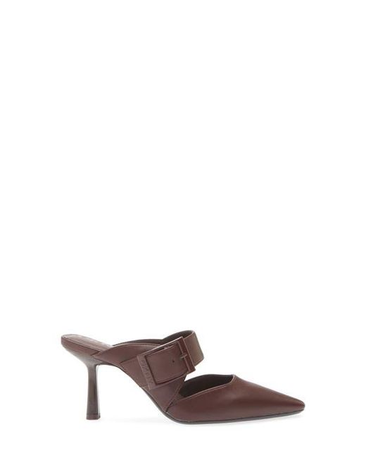DKNY Multicolor Nardin Pointed Toe Pump