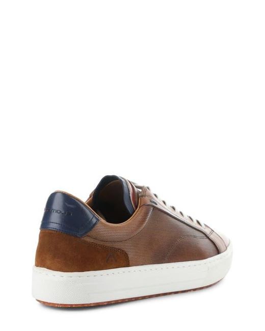 Ambitious Brown 11218 Low Top Sneaker for men
