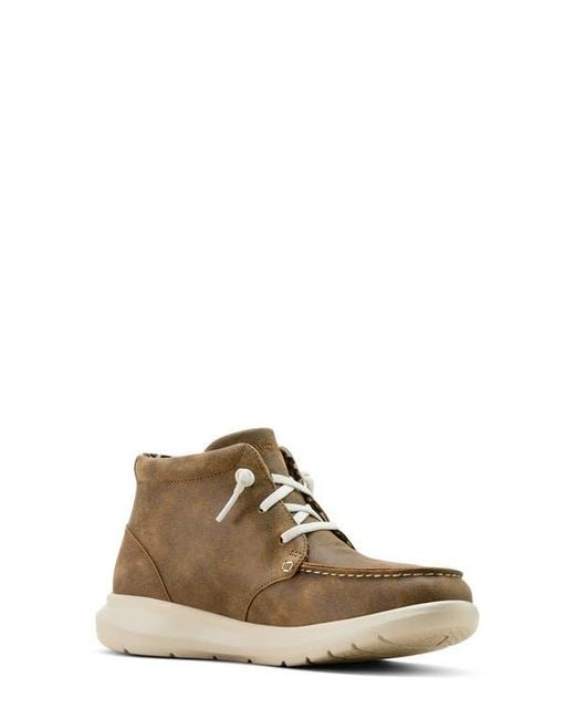 Ariat Brown Hilo High Top Sneaker
