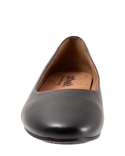 Softwalk® Brown Shiraz Flat