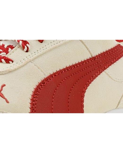 PUMA Multicolor Replicatch Sd Edgework Sneaker