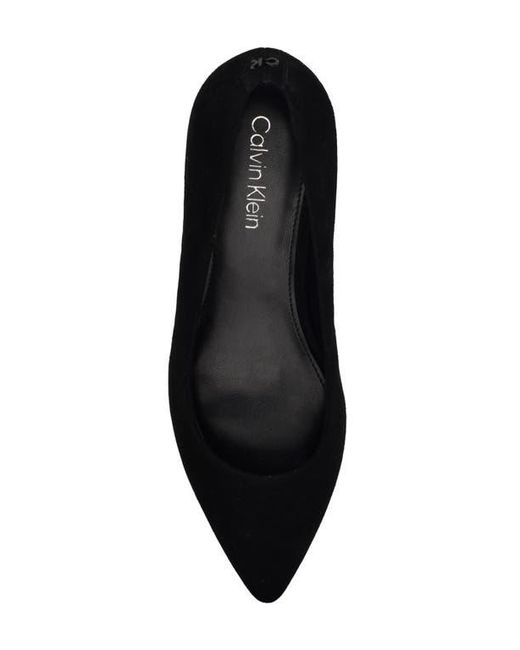 Calvin Klein Blue Lenott Pointed Toe Pump