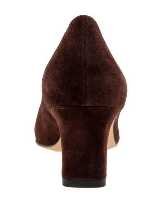 Andre Assous Brown Wynne Pointed Toe Pump
