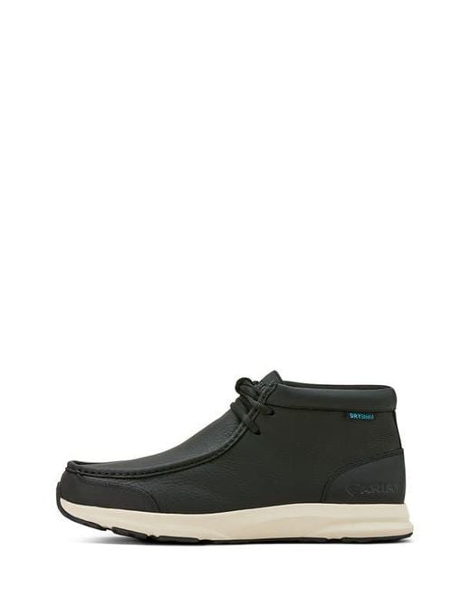 Ariat Black Spitfire Leather Chukka Boot for men