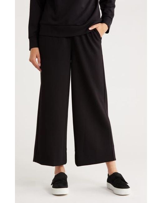 Caslon Black Scuba Wide Leg Pants