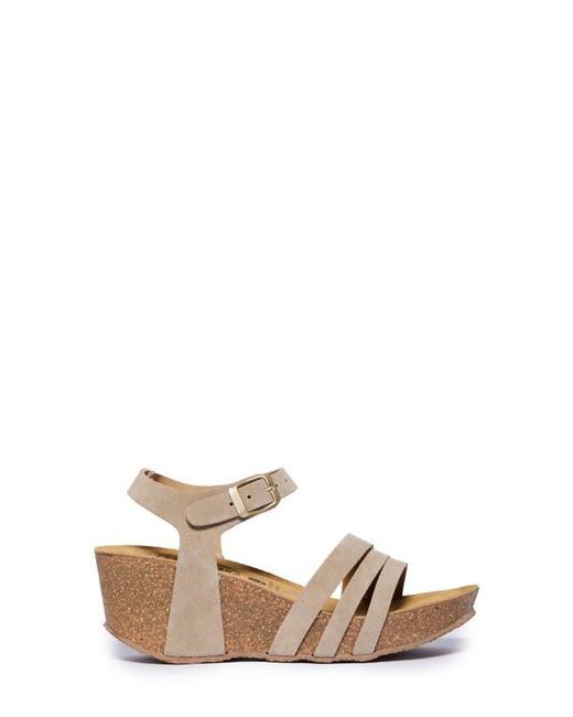 Plakton Multicolor Willow Sandal