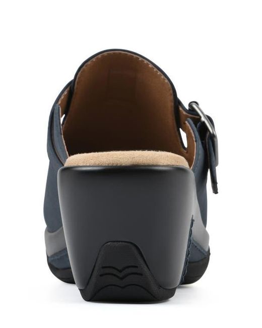 White Mountain Blue Viewed Mule