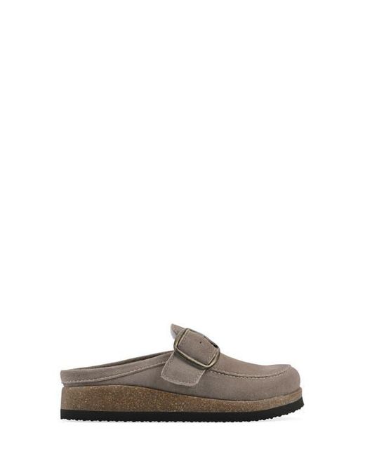 White Mountain Gray Bueno Mule