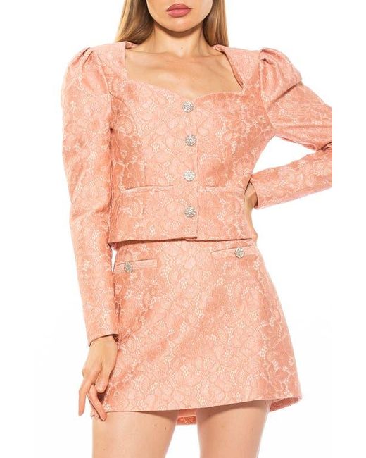Alexia Admor Pink Rowan Lace Jacket