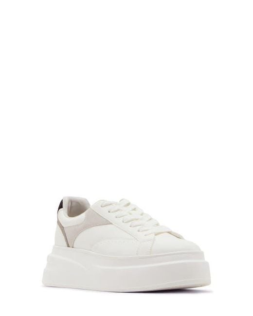 Steve Madden White Venture Platform Sneaker