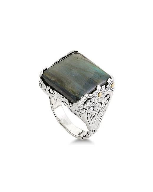 Samuel B. Metallic Labradorite Two-Tone Statement Ring