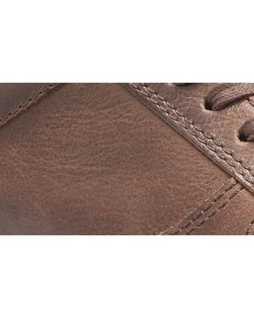 Børn Brown Captain Sneaker for men