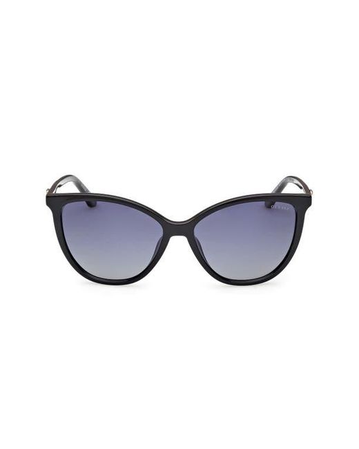 Guess Blue Cat Eye Sunglasses for men