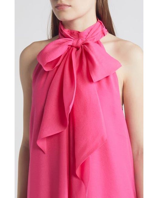 Ted Baker Arikka Sleeveless Organza Maxi Dress in Pink | Lyst