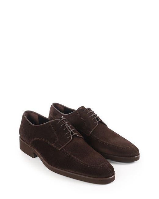 VELLAPAIS Brown Moxy Derby for men